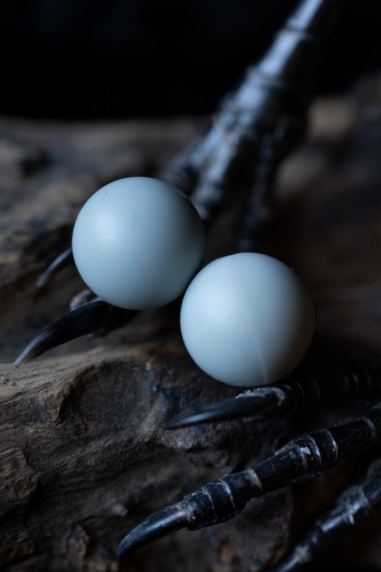 Grey Round Needle Tip Protectors